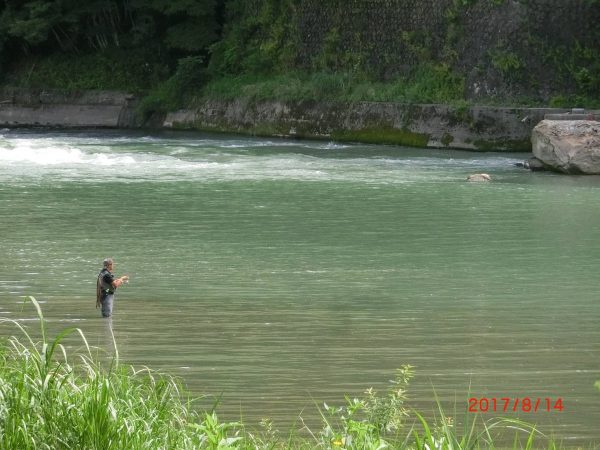 釣果情報 長野県 犀川のフィールドレポート釣具いちばん館