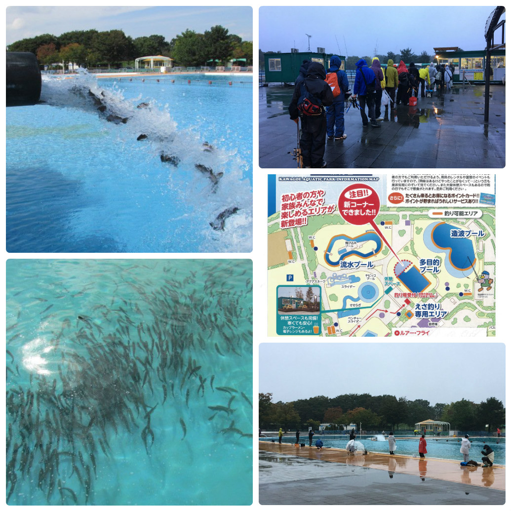 川越水上公園が本日からオープン 次回の放流は10月27日 釣具いちばん館