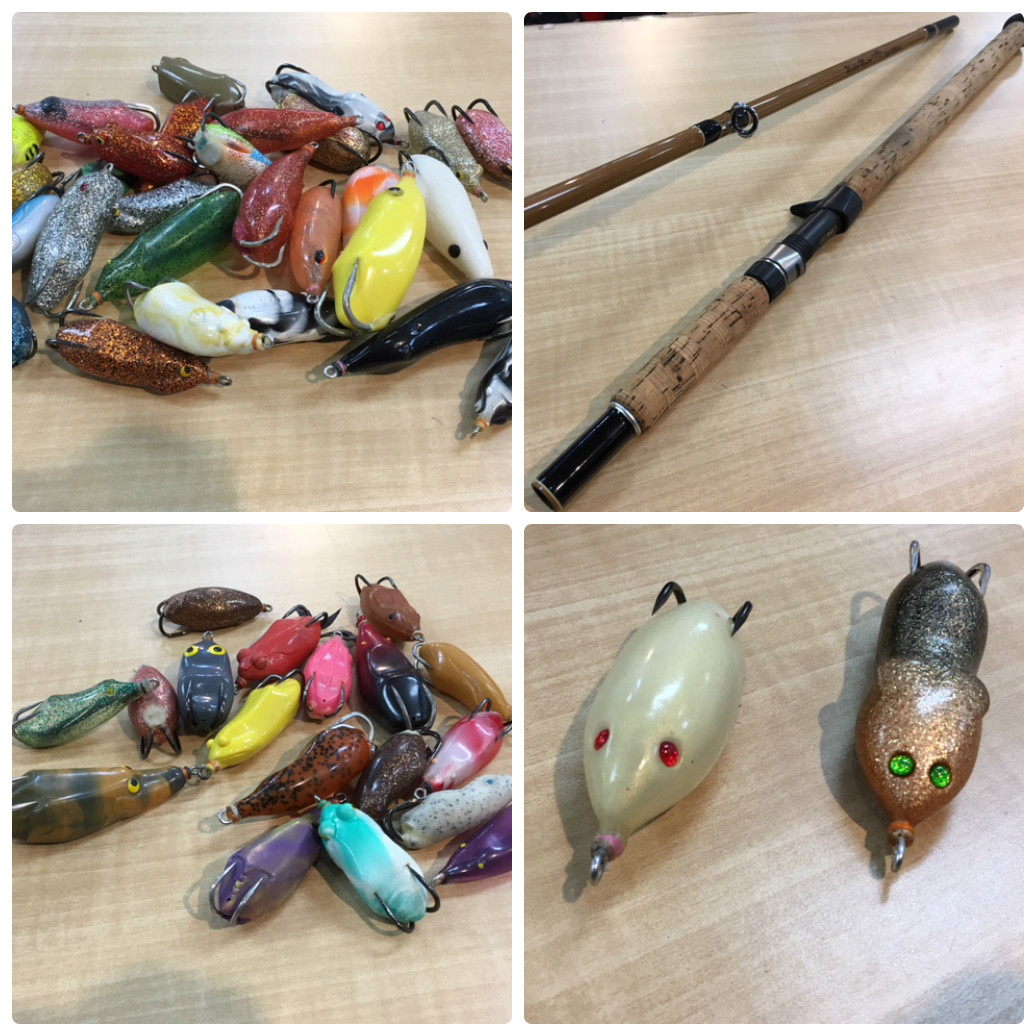 雷魚 おおの ウィードベットモンスターTR80 Big head special ライギョ