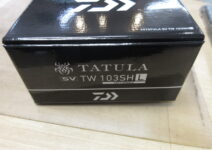 ２０タトゥーラＳＶＴＷ１０３ＳＨＬ