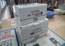 ダイワの２１アルファスＳＶＴＷ８００ＸＨＬ、２０ルビアスＬＴ２５００－ＸＨ