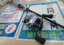 フェンウィックのリンクス６３ＣＬＪとダイワの２１アルファスＳＶＴＷ８００ＸＨＬ