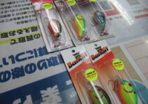 バンディットのバンディット１００、２００、フットルースのジャパンスペシャル