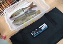 DRT・デプス・玄人ルアーのベイトラップ・コードネームバス・SNOOK