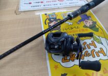 ダイワのタトゥーラＸＴ６１０１ＭＲＢ・タトゥーラ１００Ｈ