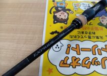 シマノの２２エクスプライド１７２ＭＬ／Ｈ