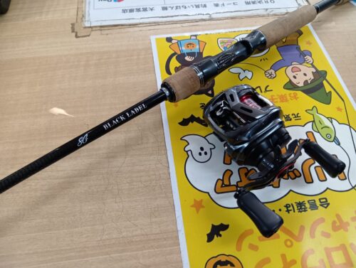 ダイワのブラックレーベルBLX SG661UL+FB・20アルファスエアTW8.6L