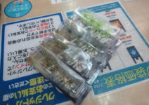 ハイドアップの旧コイケ