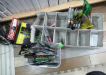 エバーグリーン、デプス、レイドなどのバスワーム