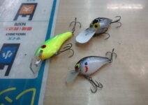 モリケンスピードバイトのドクターナイト、スタンフォードルアーズのシャロースモーキンシャッド（コフィンリップ）、ストームのウィーグルワートオールド（美品）