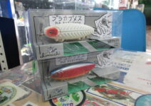 痴虫のプラカブメス