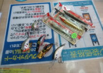 ストームやバグリー、スミスウィック等のアメリカンルアー