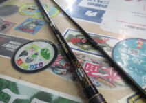 ダイワのモアザンブランジーノEXAGS94ML