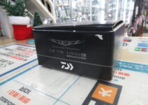 ダイワの23スティーズAⅡTW1000L