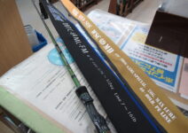 ノリーズのロードランナーヴォイスLTT650M、DスタイルのブルートレックDBTC-64ML-FM、レジットデザインのワイルドサイドWSC69MH