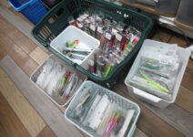 DUO、アイマ、ブルーブルー、ダイワ、メガバスのソルトルアー