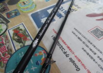 ツララのモンストロワールドレコード８１ＨＣ