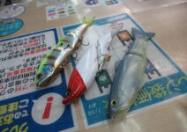 エレメンツのダヴィンチ２４０とデプスのスライドスイマー２５０とシマノのアーマジョイント２４０