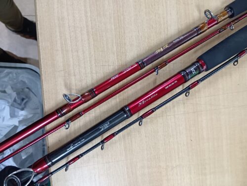 ダイワの潮流マダイ 255・Y/メタリアヤリイカMH-195・J