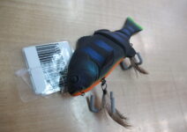 ジャッカルのチビタレル(ブラックインパクト)