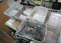 ノリーズのヒラクランクやその他バスルアーを大量