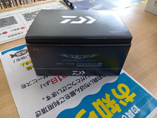 ダイワ 24スティーズ SV TW 100XHL