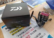 ダイワ 17スティーズ タイプ1を2台