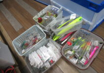 ダイワ、メガバス、ブルーブルーなどのソルトルアー