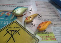 江戸物、泥クランク、グアナコのハンドメイドクランクベイト