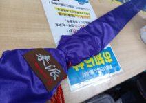 メガバス デストロイヤー F5.1/2-70XL