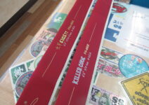 メガバス デストロイヤーＦ０ｓｔ－６６Ｘ　虫竿ＳＩＧＬＥＴＴ・デストロイヤーＦ６－６６Ｘ　ＫＩＬＬＥＲＣＯＤＥ