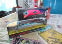 ロンジンのウェイキーブー１７０ピンク牛とフランキー１４５ゴージャスリアルベイト