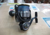 ダイワ １９セルテート５０００Ｄ－ＣＸＨ