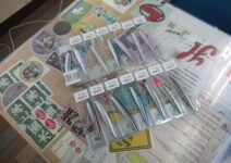 ジップベイツのザブラ モンスーンブレイカー１１５