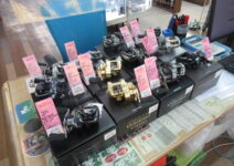 ダイワ、シマノのベイトリール