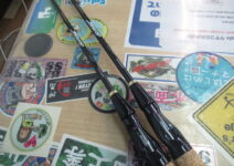 ダイワ TD-Sゼロ ZR662MRBとZR602MRB