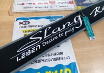 デジーノ LSR-C75M/HRST1s