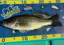 釣具いちばん館オリジナルメジャー