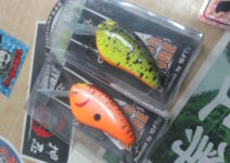 テンフィートアンダーのワイドルモア