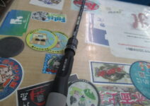 ワイルドサイドＷＳＣ－ＳＴ６５ＭＬ／ＴＺ