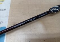 ダイワ　スティーズＳＣ　Ｃ６６ＭＬ－Ｇ