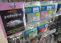レインのトリプトアジアダー
