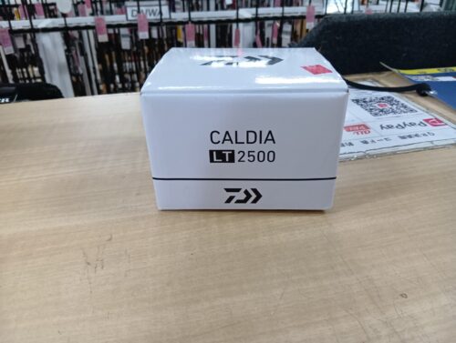 ダイワ 21カルディア LT2500