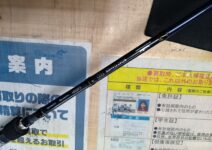 テイルウォーク　ボートゲーマーＳＳＤ　Ｃ６５ＸＨ