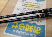 テイルウォーク フルレンジC63M/G・C67XXH