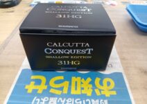 ２４カルカッタコンクエストシャローエディション３１ＨＧ