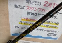 メガバス デストロイヤーオロチ F6-72DG