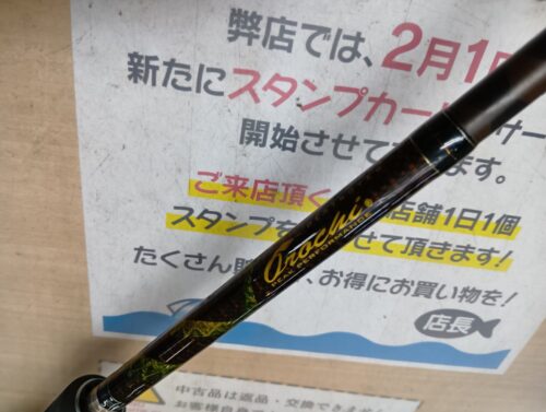 メガバス デストロイヤーオロチ F6-72DG