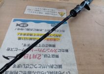 ダイワ キャタリナBJ62XHBY