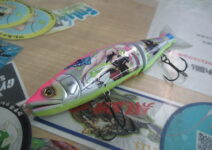 ガンクラフトのジョインテッドクロー１７８（釣りチチ渚）